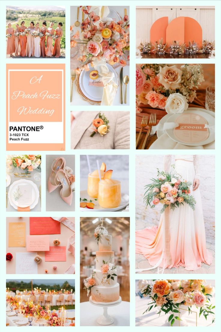Peach Fuzz Wedding Inspiration: Get Inspired by Pantone Color of 2024